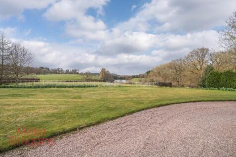 20250321-20250321-DSC07331-Edit (2).jpg