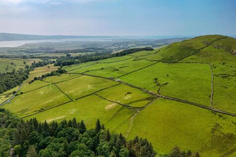 Knott Hill Pasture.jpg