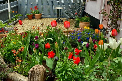 Property Image 20