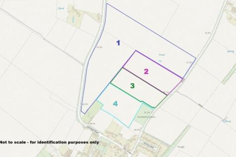 Brown Caldecott Plan edged.jpeg