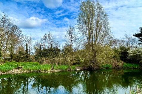 The Meadow