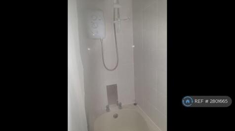 The Bathroom