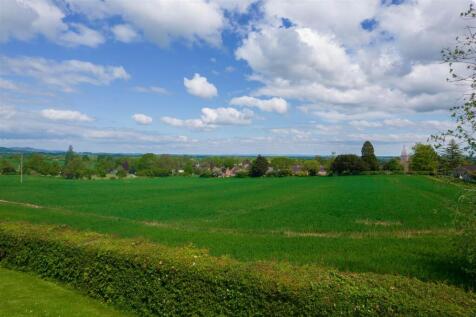 DJI_0247.jpg