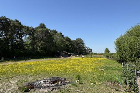 Field