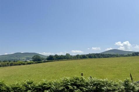 IMG_9043.jpeg