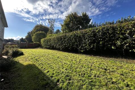 Back Garden