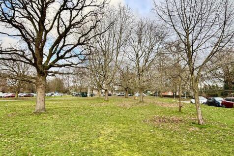 WhatsApp Image 2026-02-13 at 14.56.59.jpeg