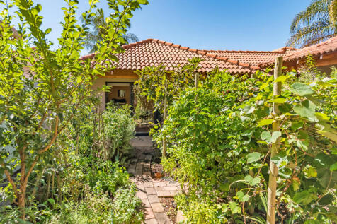 Vegetable Courtyard With Fruit Trees And Grape Vines