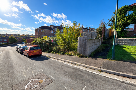 Sunlit Suburban Street With Blank Plates T202610301049.png