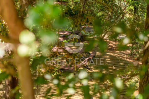 Panorama e Particolari