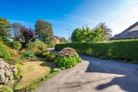Front Garden/Driveway