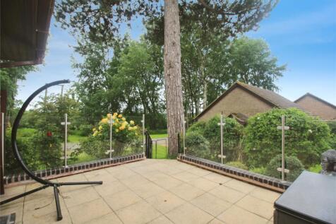 Patio Area