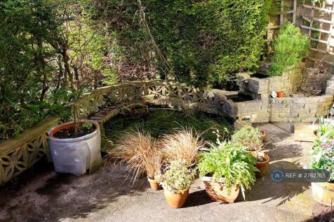Pond
