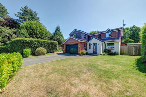 Property Image 36