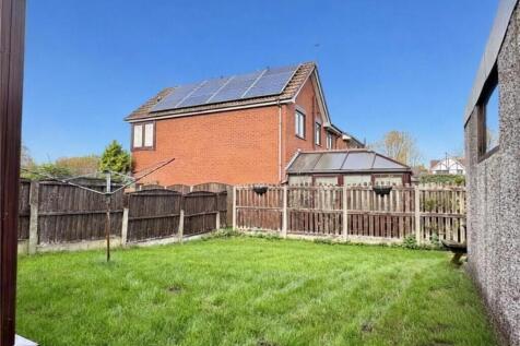 back garden .jpg