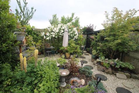 garden 6.JPG