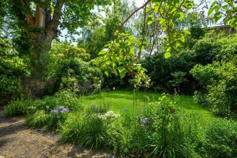 Communal Garden