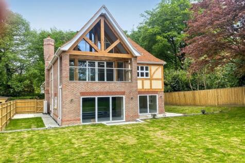 New Rear Gdn 3.5.25 4.jpg