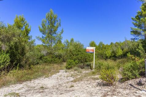 Plot (1)
