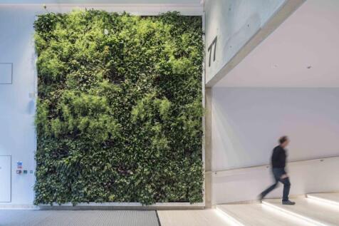 Living Green Wall