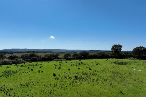 big paddock.jpg