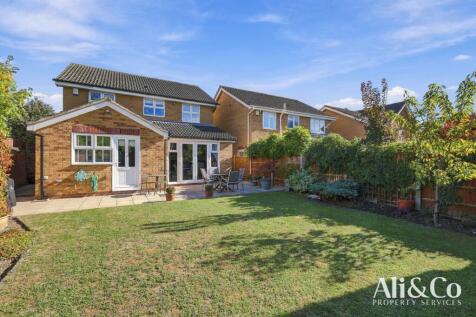 Property Image 41