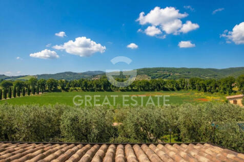 Panorama e Particolari