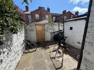 backgarden new.jpg