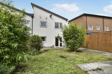 Back Garden
