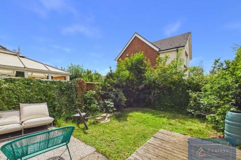 Back Garden
