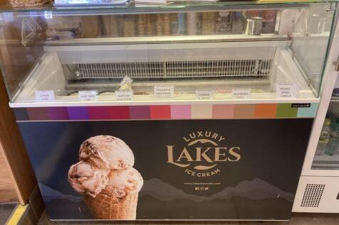 Ice cream freezer