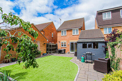 Rear Aspect
