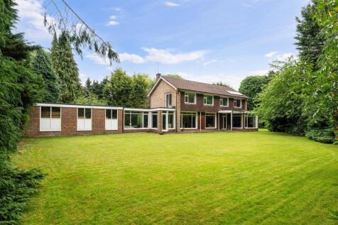 SILVER TREES- (21).jpg