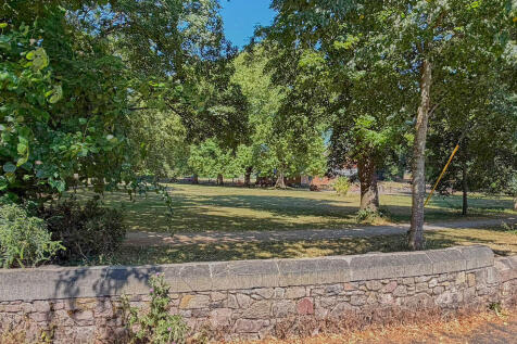 Belmont Park Opposite
