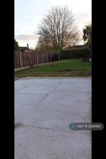 Garden 3