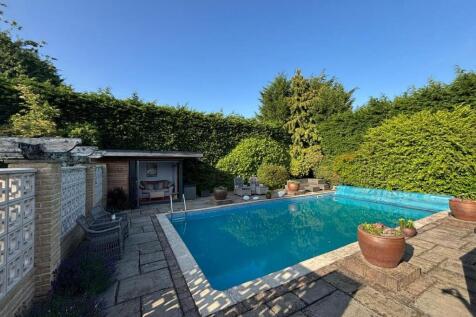 Vendor Garden Photos_2.JPG