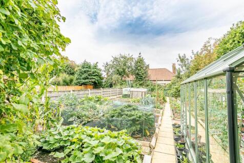 GARDEN SUMMER 2