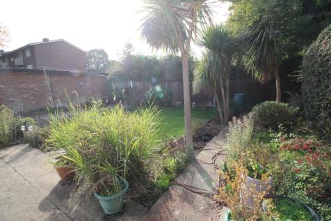 Garden 3.JPG