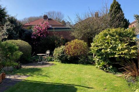 Garden 2.jpg