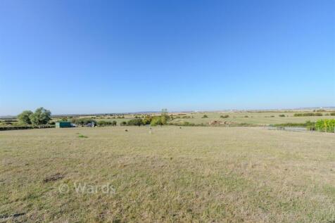 Surrounding Area