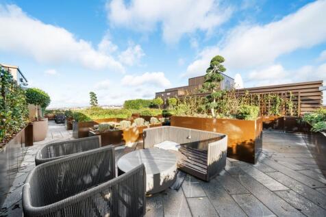Roof Terrace
