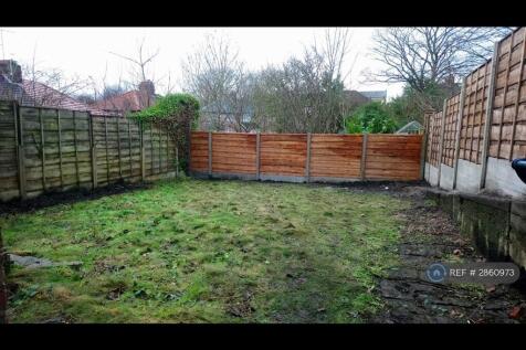 Back Garden
