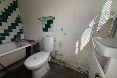 IMG 4063 T202607031627.jpeg