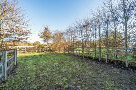 1384316-5-6920571...