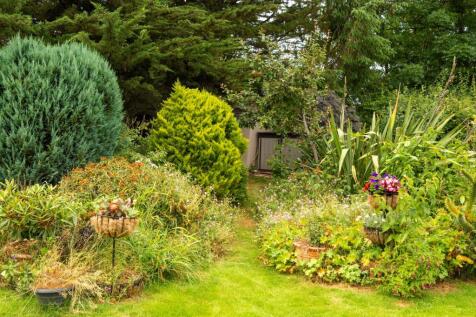 Property Image 44