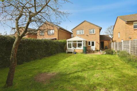 Back Garden