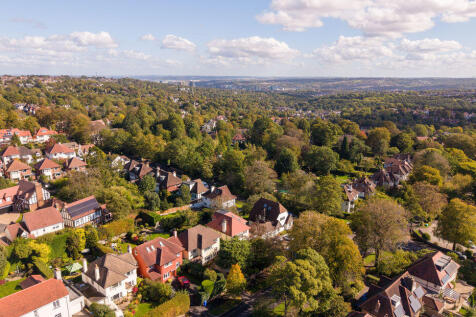 Aerial Image