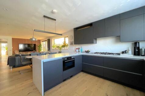 Living Room/Dining Room/Kitchen (5)