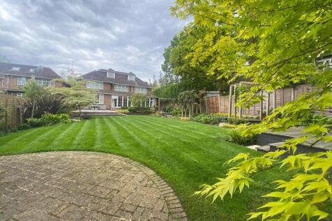 garden 3.jpg