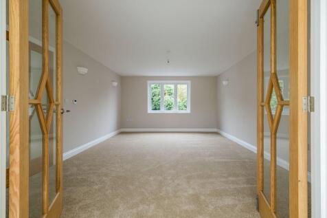 1440px-Elm Tree V...